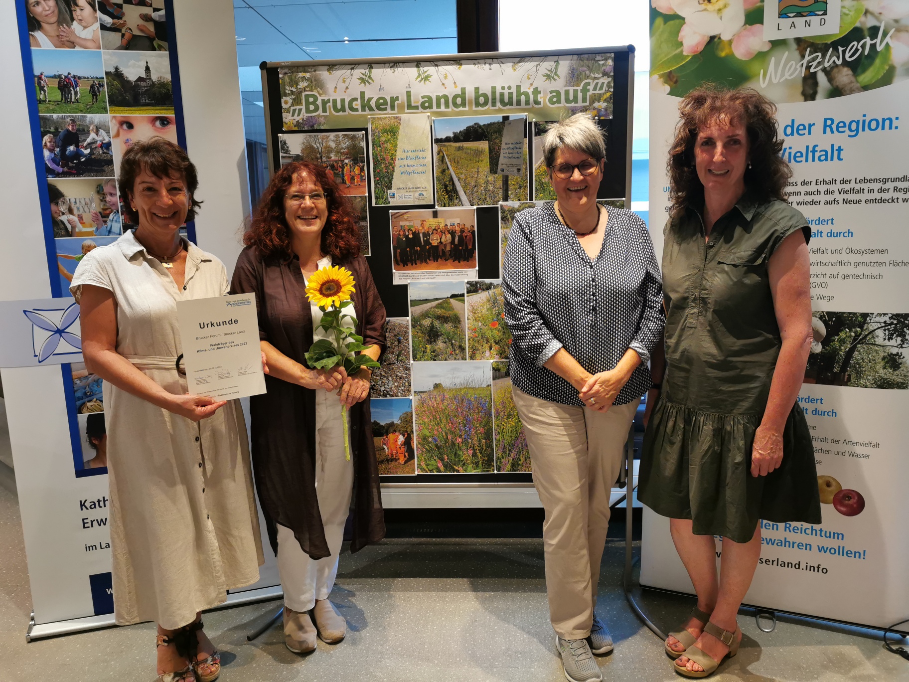 IMG 20230713 202054 resized 20230717 011647238