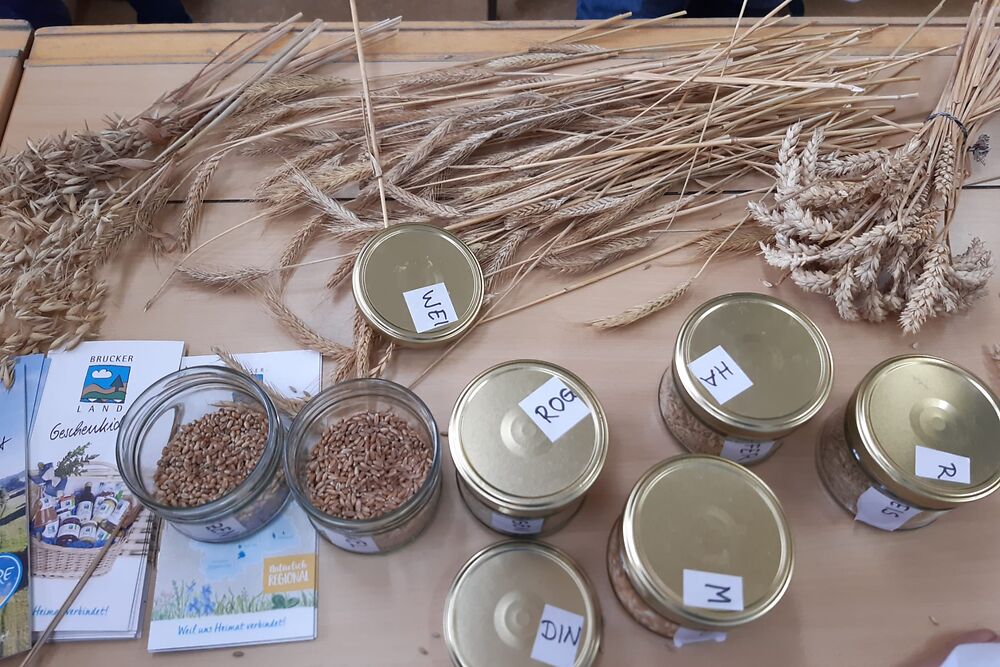 02.06.2025 Vom Schrot zum Korn an den Grundschulen in Grafrath und Türkenfeld