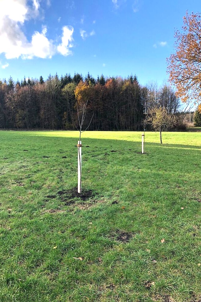 STA Projekte Streuobst fuer alle 02