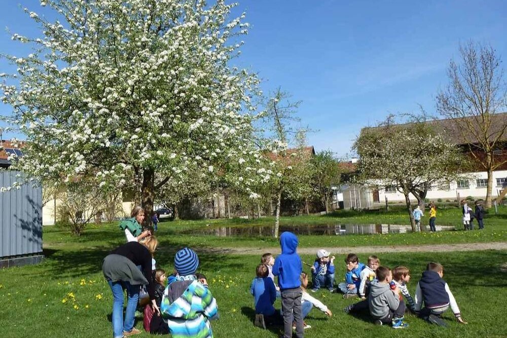 17.11.2025 Schule auf der Streuobstwiese – neue Projektleitung gesucht