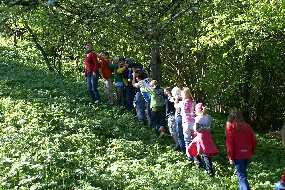 Soli WER SchuleStreuobstwiese Suche 2025 11 17