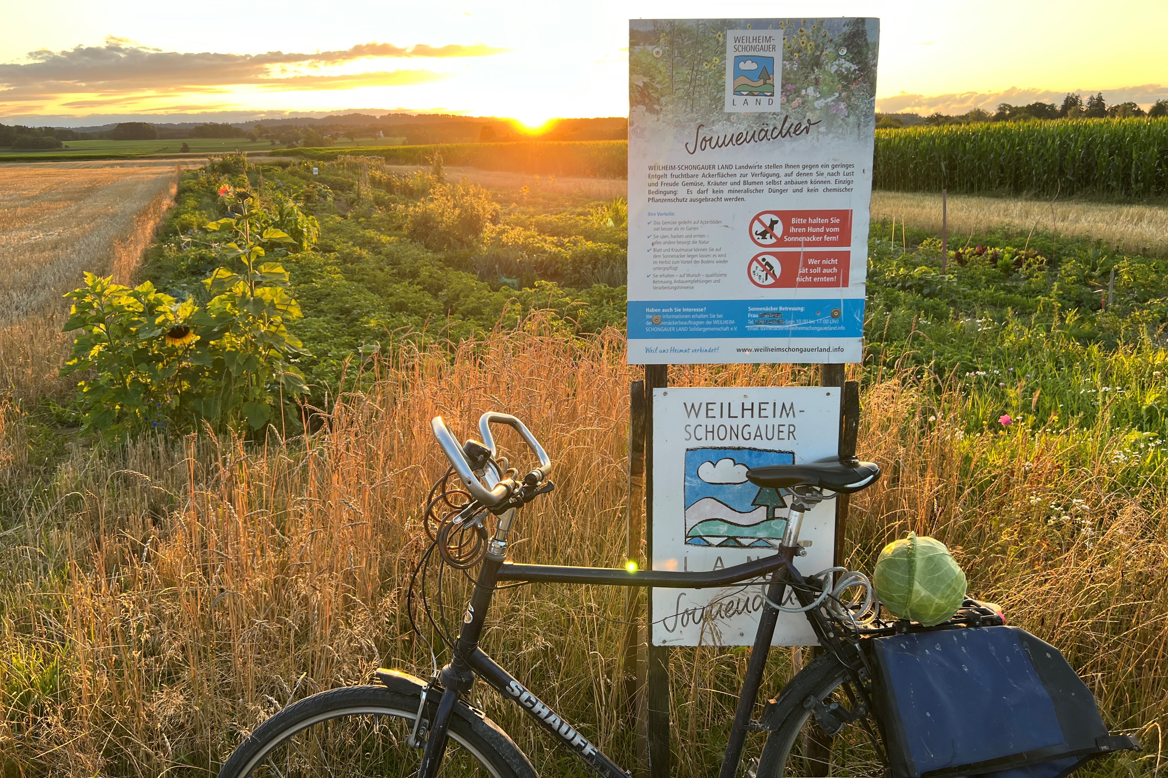 Bio Sonnenacker Oderding