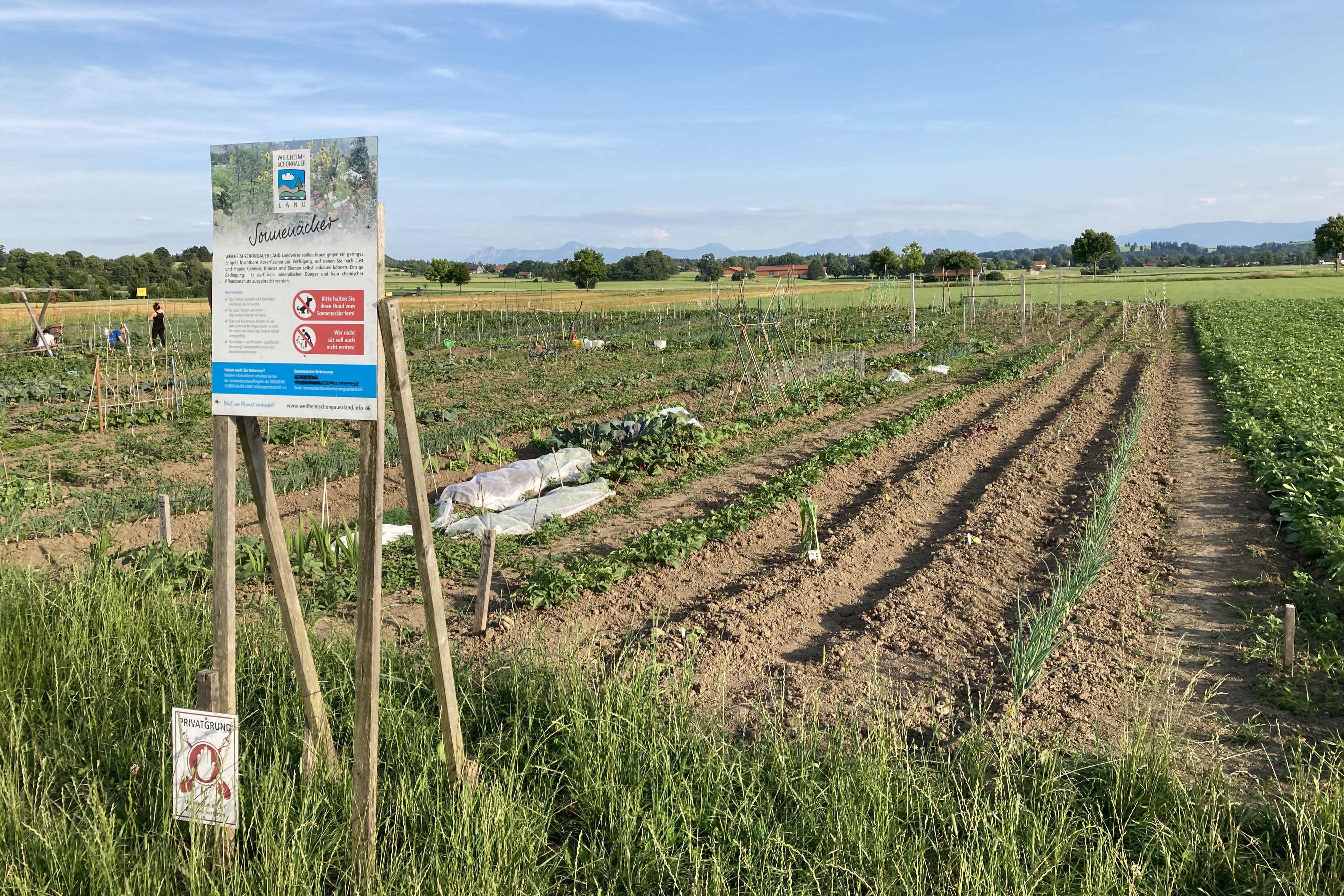 Sonnenacker Prälatenweg Polling