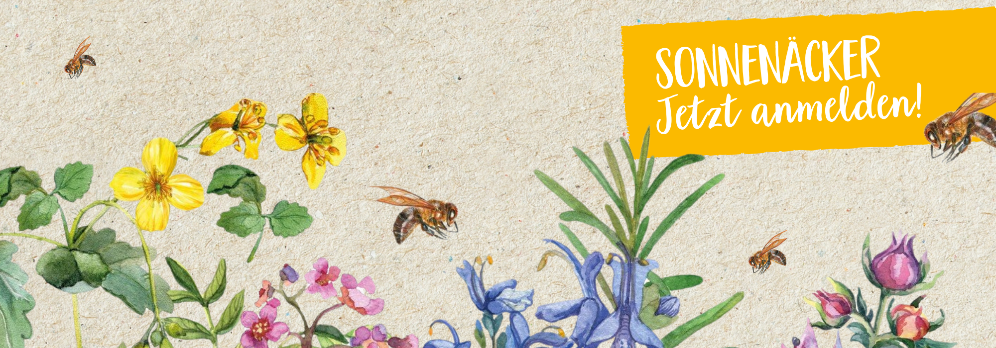 Titelbild Sonnenacker Anmeldung Desktop 2000x700