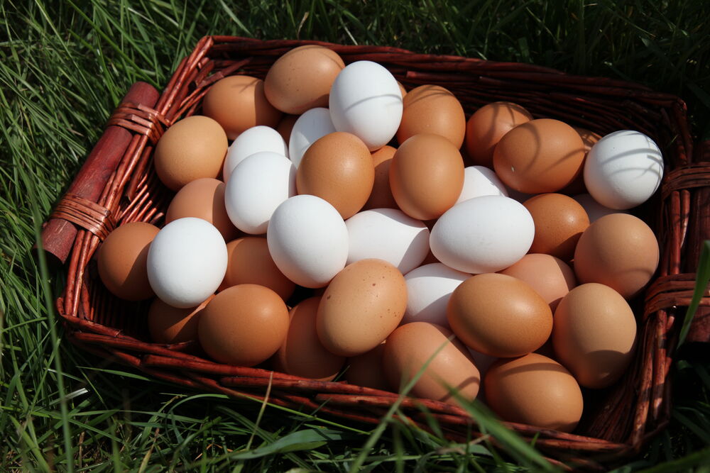 03.11.2020 Warum gibt es im Moment UNSER LAND Eier ohne Erzeugerfotos?