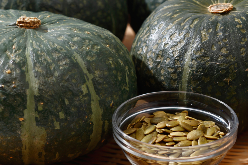 21.04.2026: UNSER LAND Kürbiskerne: Ein kleiner Vorgeschmack auf den Herbst