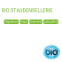 Bio Staudensellerie